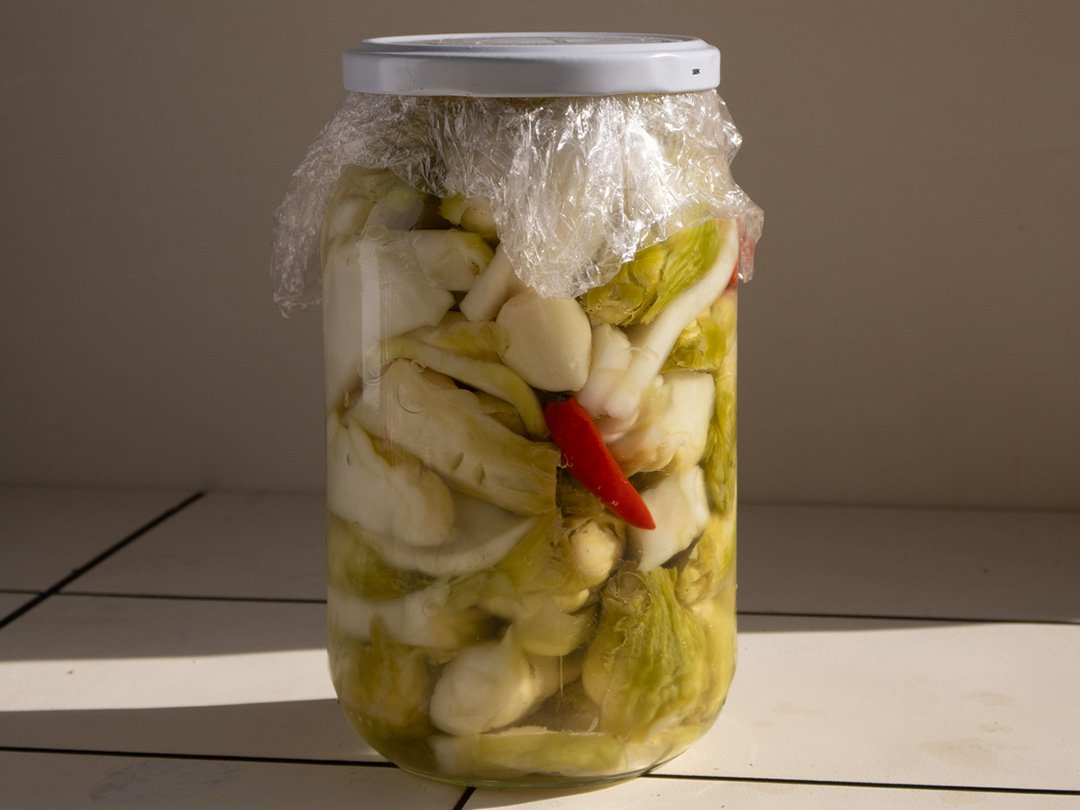 mostaza china encurtida casera 1