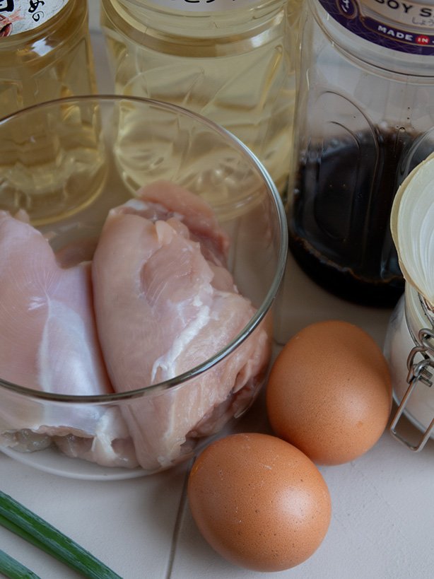 ingredientes oyakodon 1