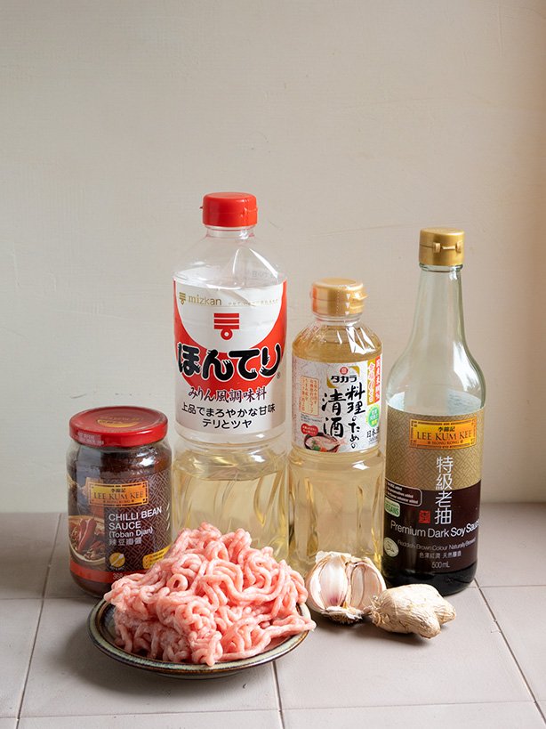 tatanmen ingredientes 1